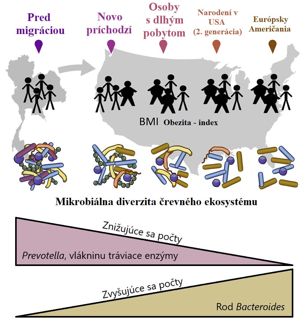 migracia mikrobiom