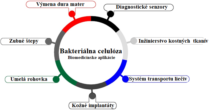 baktcelulozagraf