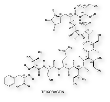 teixobactcin