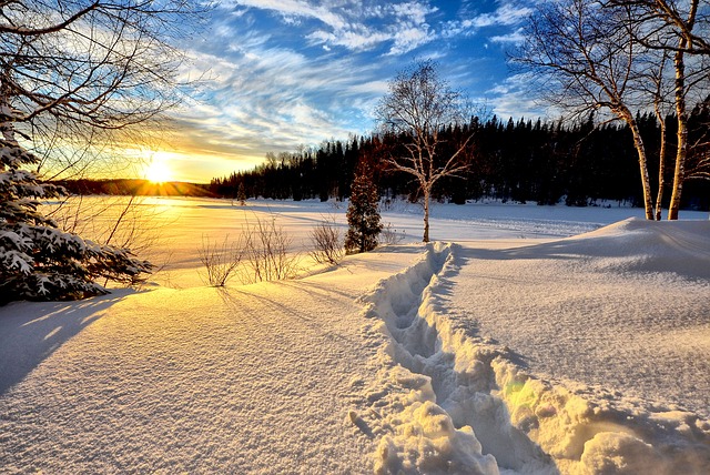 winter-landscape-636634_640